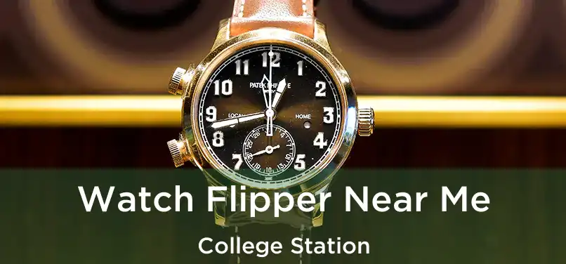 Watch Flipper Near Me College Station